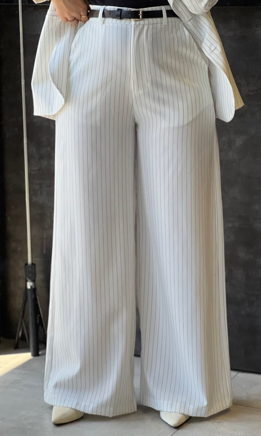 8e16bd3f-0f2a-48d2-8522-463222388e01 Classic Pinstripe Pants - Image 1